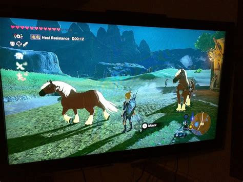 [Spoilers] A comprehensive guide to all things Epona (and